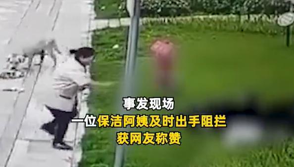 南宫28保洁阿姨为女童挡狗被赞“善良又勇敢”物业回应：会有奖励(图1)