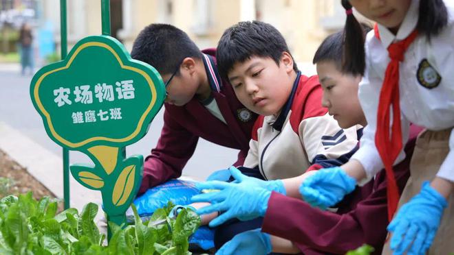 南宫NG·28(中国)官方网站@蜀山区中小学生 新学期劳动教育这样做→(图1)