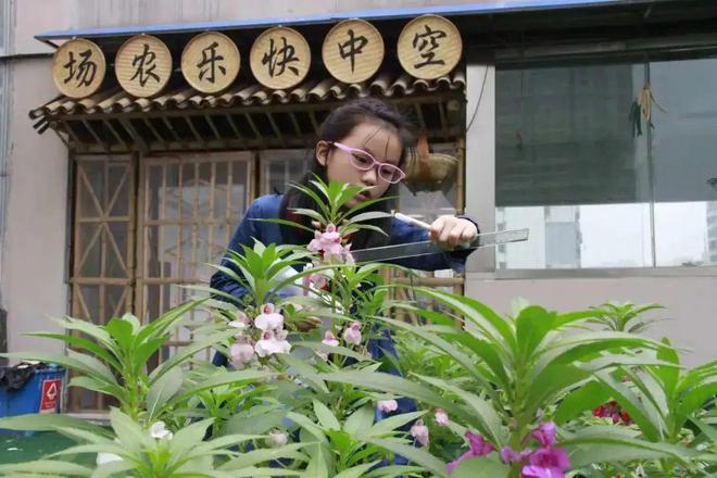 南宫NG·28(中国)官方网站@蜀山区中小学生 新学期劳动教育这样做→(图3)