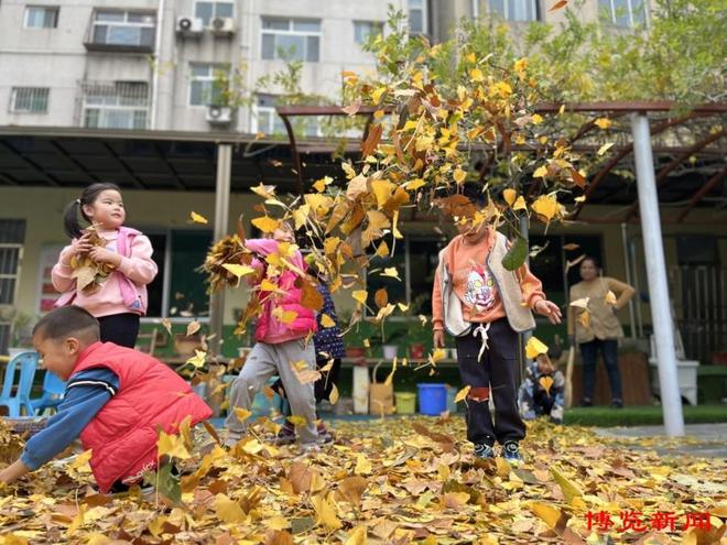 南宫28淄博幼儿园新风尚！自主游戏让孩子重拾“玩”童乐趣(图1)