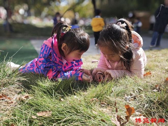 南宫28淄博幼儿园新风尚！自主游戏让孩子重拾“玩”童乐趣(图3)