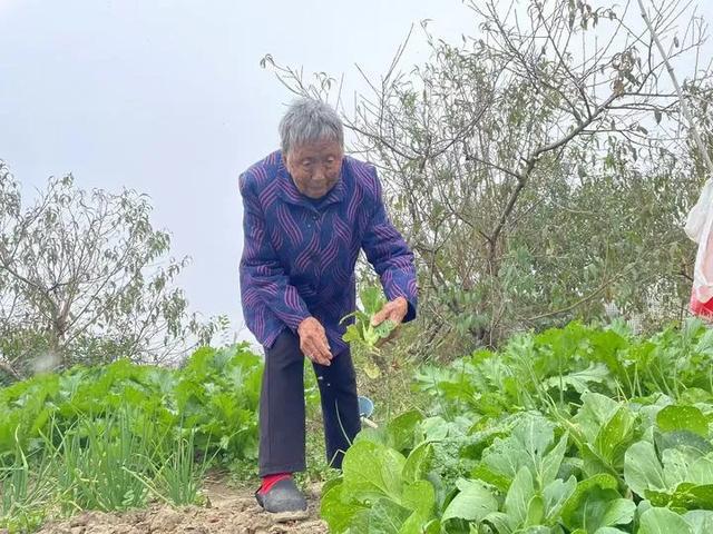 南宫28合肥这对夫妻年龄加起来204岁！长寿秘诀公开(图2)