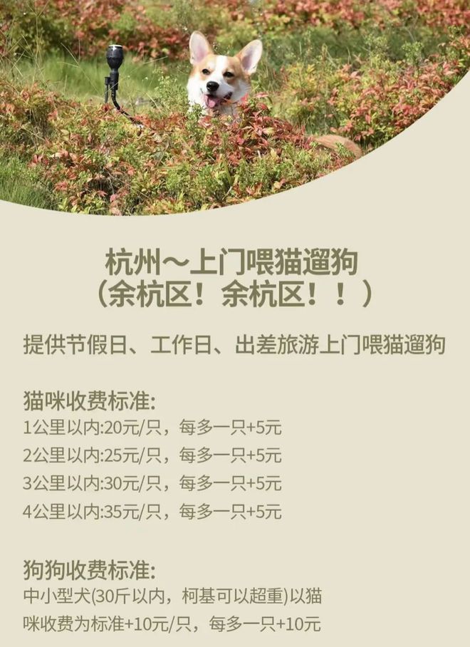 南宫NG·28(中国)官方网站大厂血拼家政服务赛道是蓝海还是“难海”？(图1)