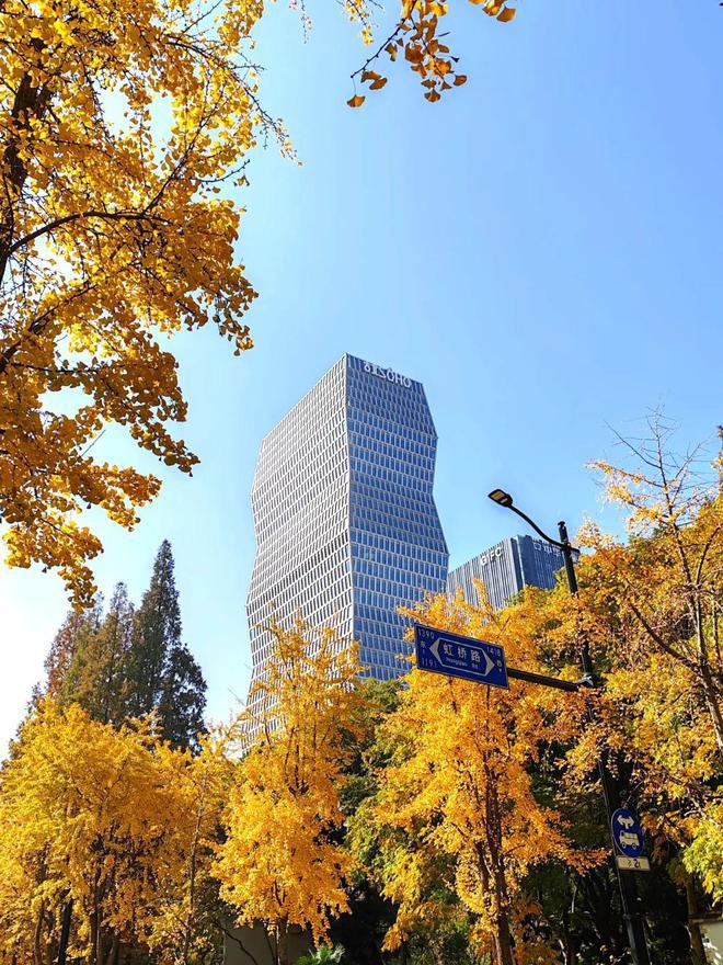 南宫28®古北99官方 上海古北99官方售楼处发布：古北99多款户型亮相(图12)