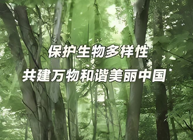 南宫28清研智观 保护生物多样性拓宽“两山”转化路径(图1)