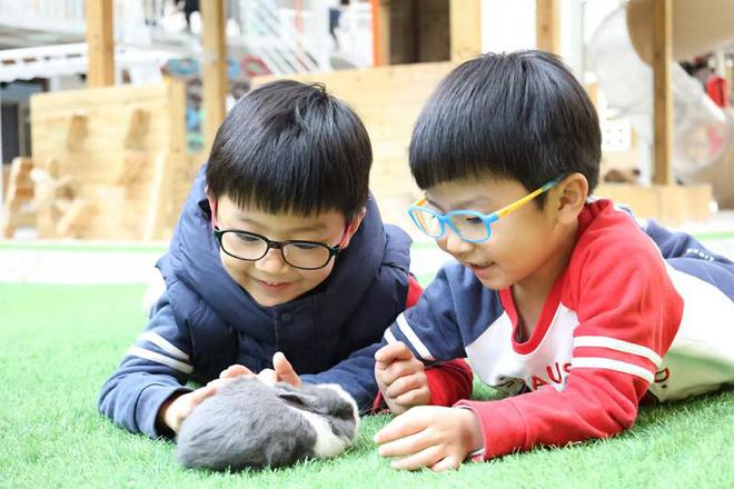 南宫NG·28(中国)官方网站从“幼有所育”到“幼有善育” 龙岗这样托起孩子的快(图8)