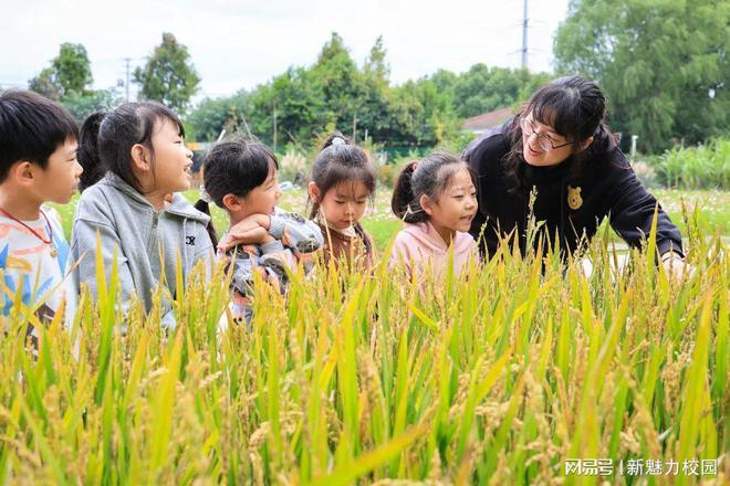 南宫NG·28(中国)官方网站教育部公布！雨花台区被认定为国家学前教育普及普惠区(图3)