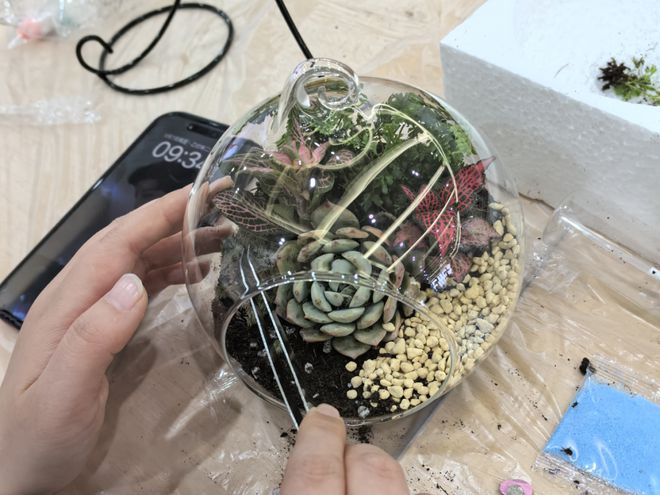 南宫NG·28(中国)官方网站虹口区社矫局开展“‘虹’色乐章谱写‘她’未来”女性(图2)
