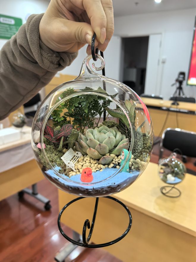 南宫NG·28(中国)官方网站虹口区社矫局开展“‘虹’色乐章谱写‘她’未来”女性(图4)