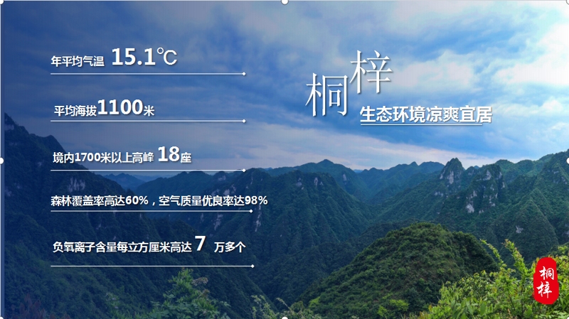 南宫28“六大优势”展现无限潜力！桐梓到深圳作产业招商推介(图5)
