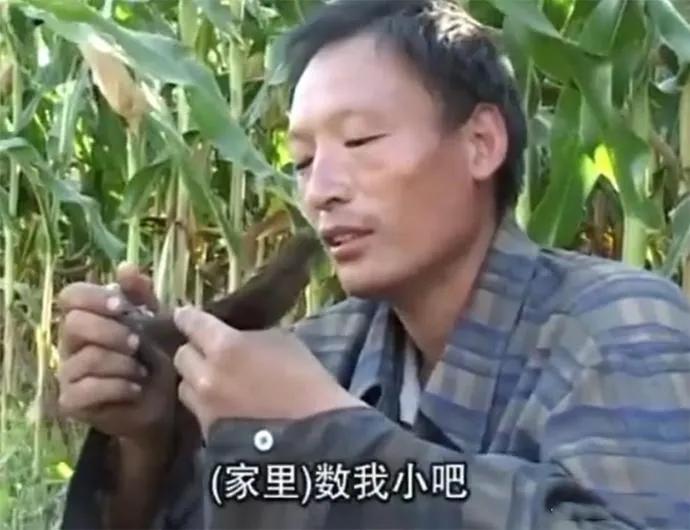 南宫NG·28(中国)官方网站纳闷了！云南 19 岁少女被拐农村  10(图2)